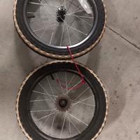 coppia ruote bici 16 pollici