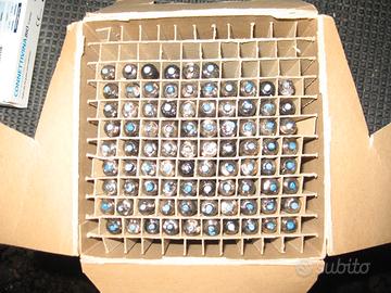 Lotto 10 valvole CK5902 Raytheon