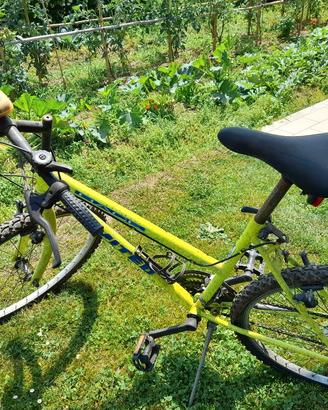 m.bike gialla