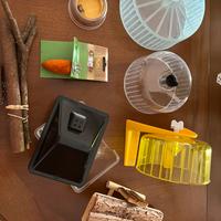 Accessori divertimento criceti