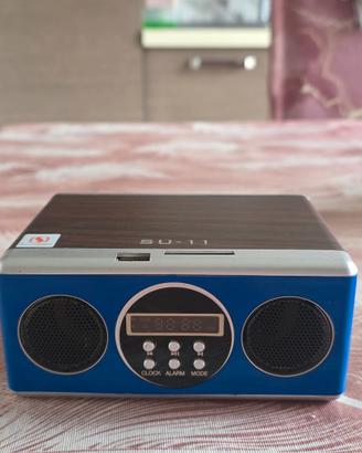 Radio portatile a batteria non so se funziona
