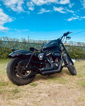 Harley Davidson 883 Iron