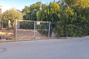 Terreno con 10 ulivi