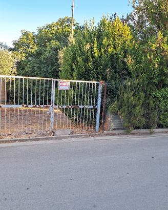 Terreno con 10 ulivi