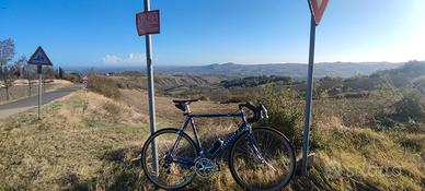 Pinarello Treviso 
