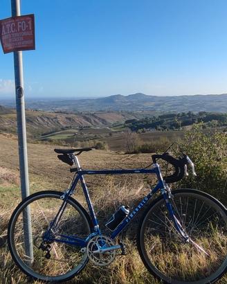 Pinarello Treviso 