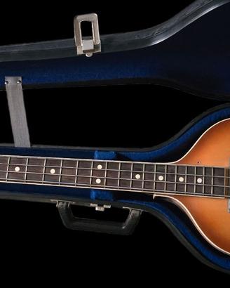 Violin bass 1965 Crucianelli
