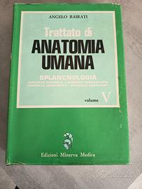 A.BAIRATI-TRATTAO ANATOMIA UMANA - SPLANCNOLOGIA