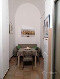 Monolocale ristrutturato