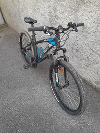 Mountain Bike del 26