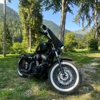 Harley-Davidson Sportster 1200 - 2011