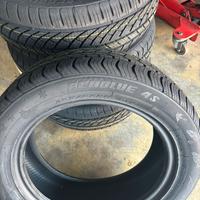 gomme Ecoblue 4S 205/55 r16