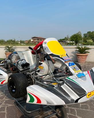 Kart 125 tm kz10c