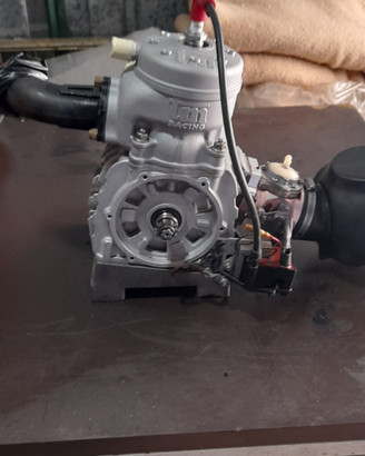 Motore go kart TMK11B