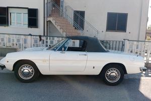 Alfa romeo spider