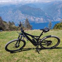 Specialized Turbo Levo SL Carbon, ruote 29