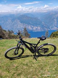 Specialized Turbo Levo SL Carbon, ruote 29