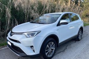 Toyota Rav4 Ibrido