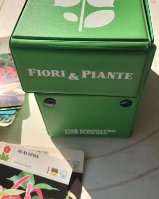 Schedario fiori e piante anni 70