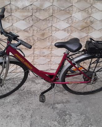 bici elettrica a pedalata assistita 
