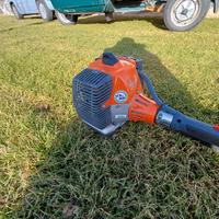 decespugliatore  Oleo-Mac Sparta 381 s