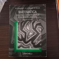 libro di matematica per università 