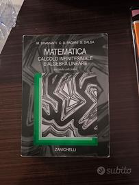 libro di matematica per università 