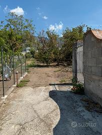 Terreno agricolo
