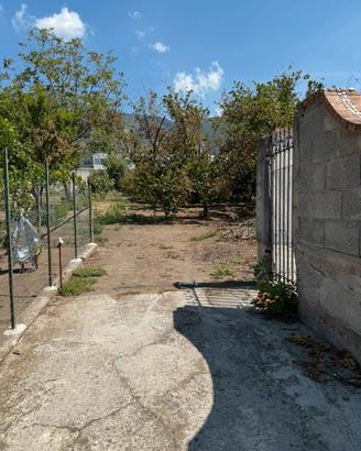 Terreno agricolo