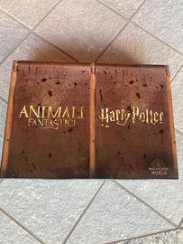 Valigetta Harry Potter