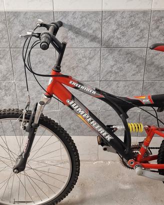  mountain bike uomo /donna 