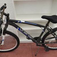 Bicicletta Mountain Bike varie misure.