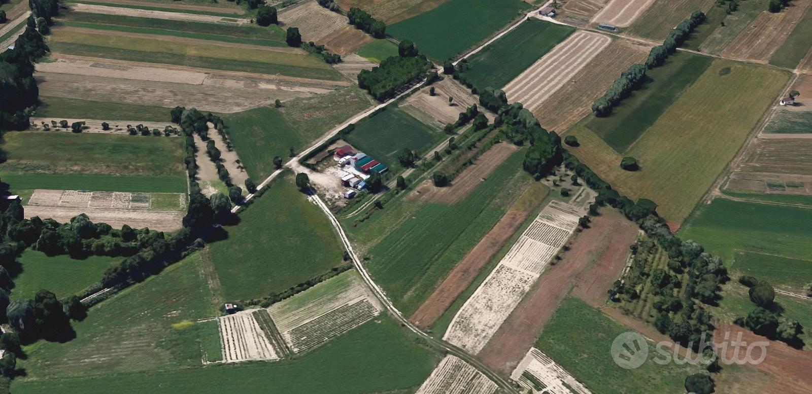 Terreno agricolo pianeggiante 2.300 m² con irrigaz - Vista 3