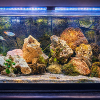 Acquario 240 litri