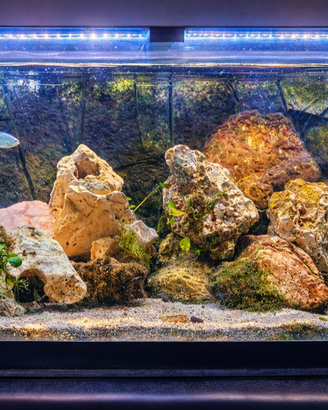 Acquario 240 litri
