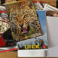 10 quadernoni a quadretti.