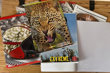 10 quadernoni a quadretti.