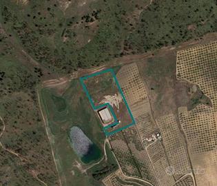 Terreni agricoli a Ribera (AG)