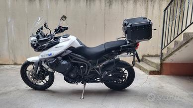 Tiger 800 xrx 2016