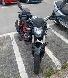 Benelli bn 125 2020
