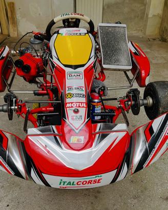 Go kart Italcorse 2021