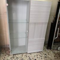 Madia Moderna