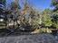 Immagine 13
