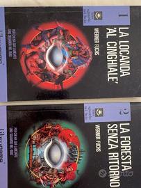 Librogame “uno sguardo nel buio” fantasy