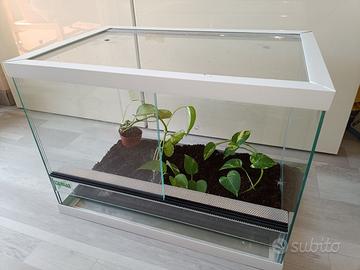 starter onischi +collemboli