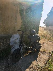 zip mk1 da campi 