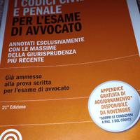 I Codici Civile e Penale per l'Esame di Avvocato