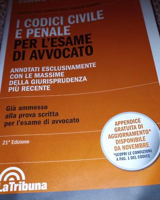 I Codici Civile e Penale per l'Esame di Avvocato