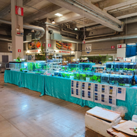 Pesci, lumache e piante