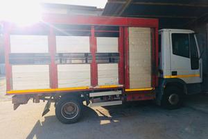 Camion Trasporto Bestiame con Rampa Elettrica